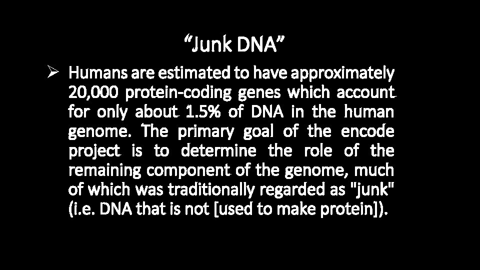 “Junk DNA” Ø Humans are estimated to have approximately 20, 000 protein-coding genes which