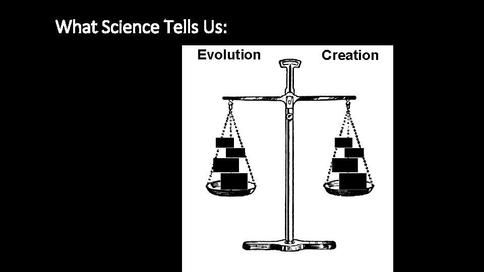 What Science Tells Us: Evolution Creation 