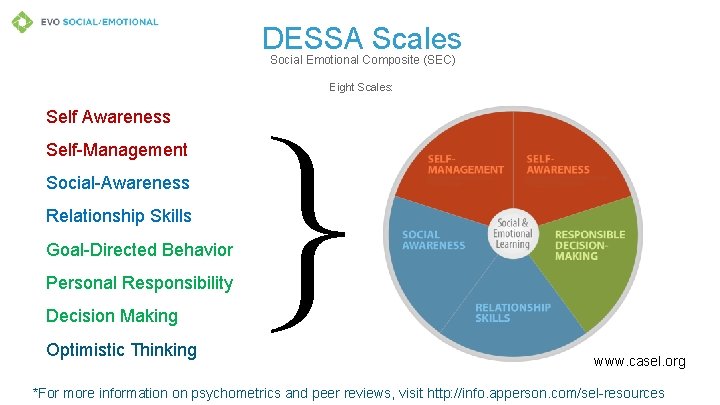 DESSA Scales Social Emotional Composite (SEC) Eight Scales: Self Awareness Self-Management Social-Awareness Relationship Skills