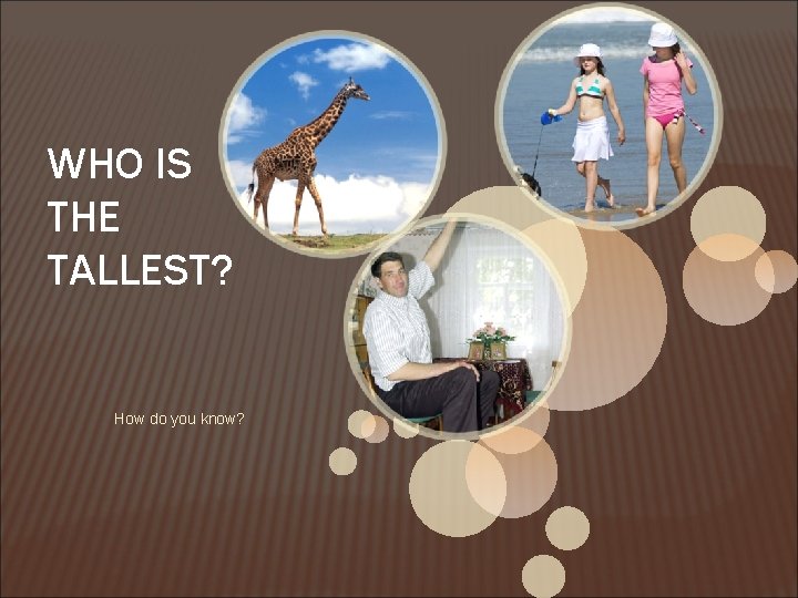 WHO IS THE TALLEST? How do you know? 