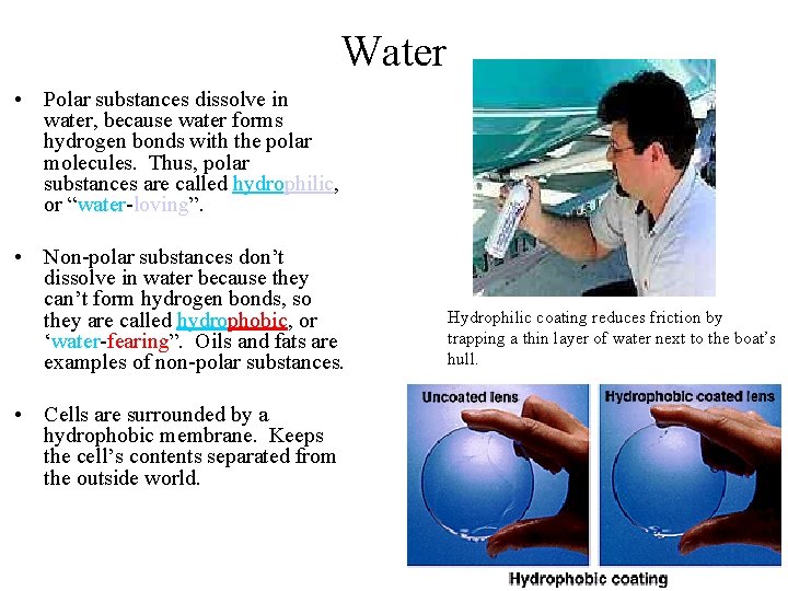 Water • Polar substances dissolve in water, because water forms hydrogen bonds with the