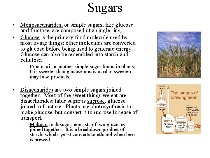 Sugars • Monosaccharides, or simple sugars, like glucose and fructose, are composed of a