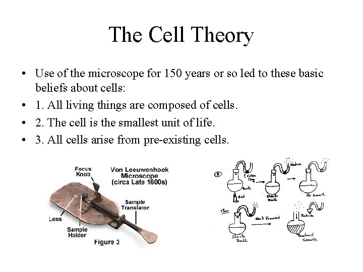 The Cell Theory • Use of the microscope for 150 years or so led
