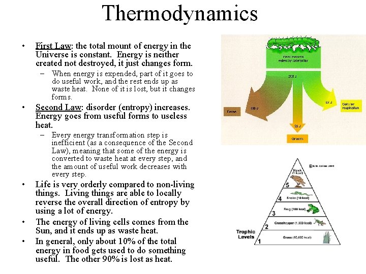 Thermodynamics • First Law: the total mount of energy in the Universe is constant.