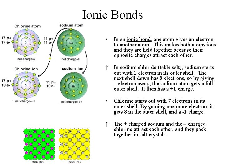 Ionic Bonds • In an ionic bond, one atom gives an electron to another
