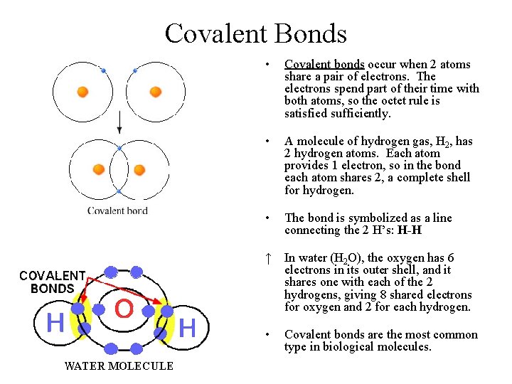 Covalent Bonds • Covalent bonds occur when 2 atoms share a pair of electrons.