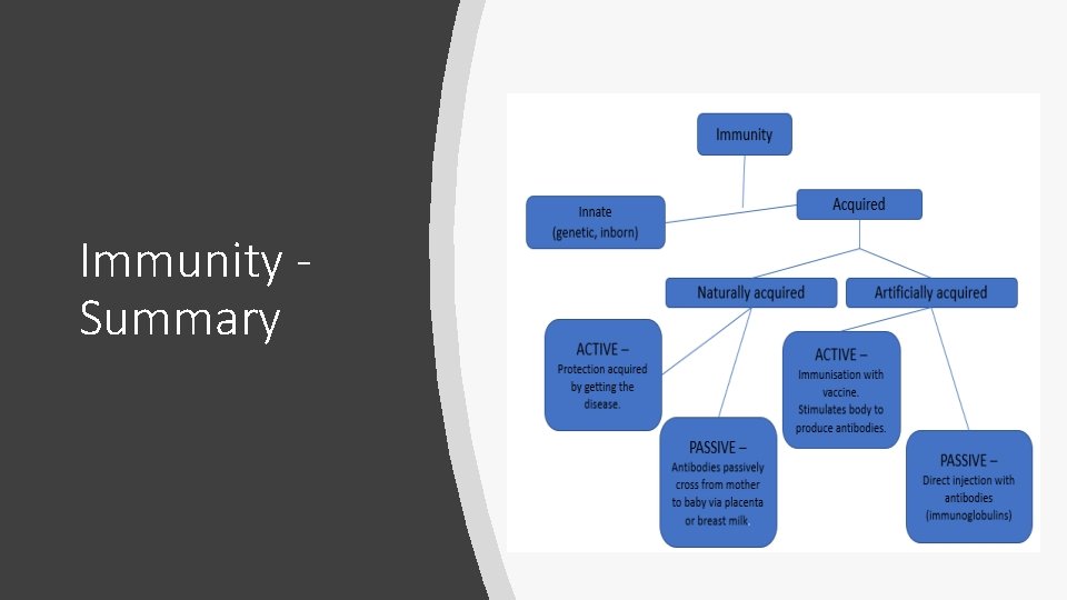 Immunity Summary 