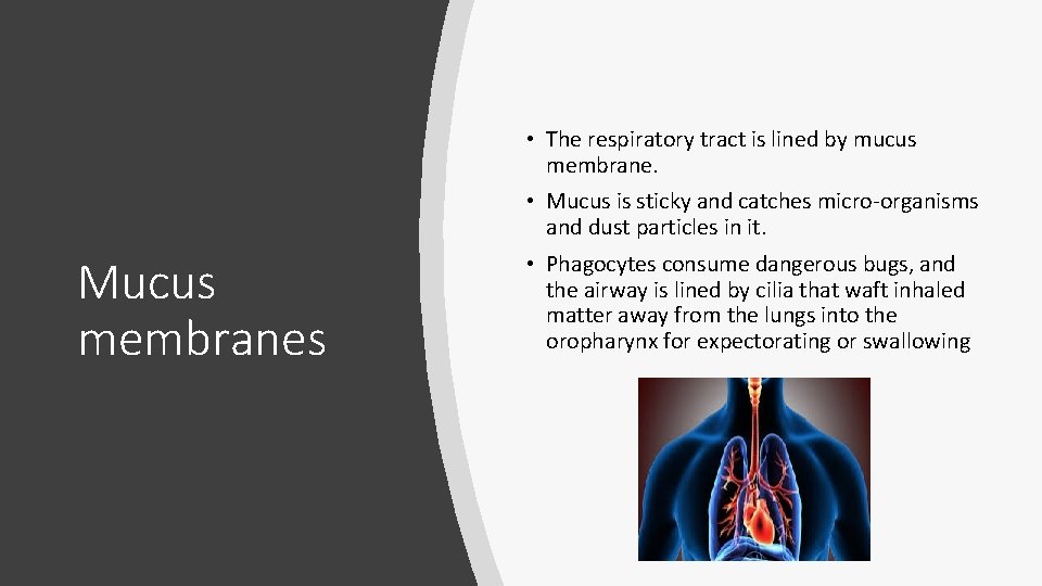  • The respiratory tract is lined by mucus membrane. • Mucus is sticky