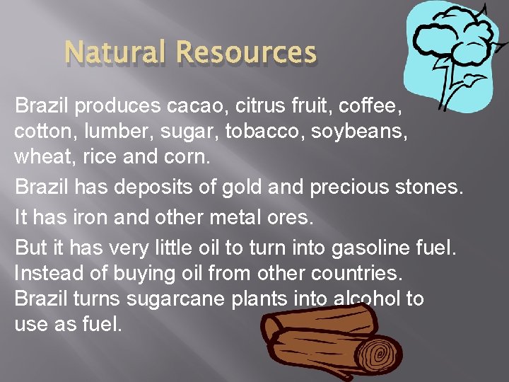 Natural Resources Brazil produces cacao, citrus fruit, coffee, cotton, lumber, sugar, tobacco, soybeans, wheat,