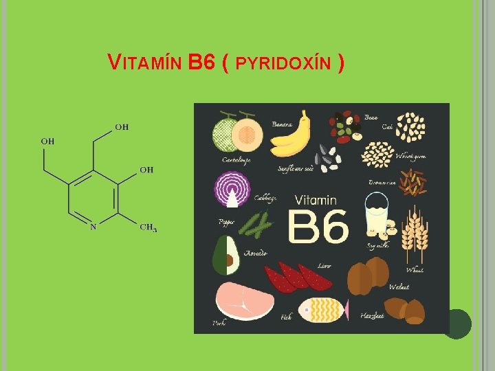 VITAMÍN B 6 ( PYRIDOXÍN ) 