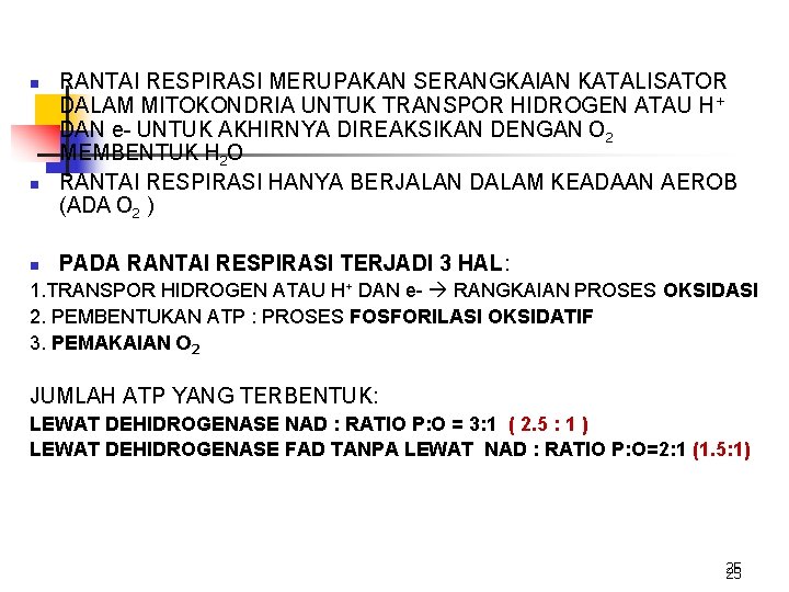 n n n RANTAI RESPIRASI MERUPAKAN SERANGKAIAN KATALISATOR DALAM MITOKONDRIA UNTUK TRANSPOR HIDROGEN ATAU