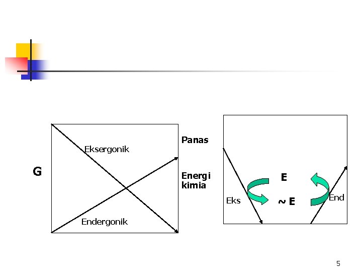 Eksergonik G Panas Energi kimia E Eks ~E Endergonik 5 