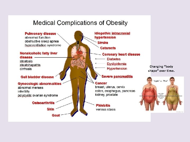 Changing “body shape” over time. 