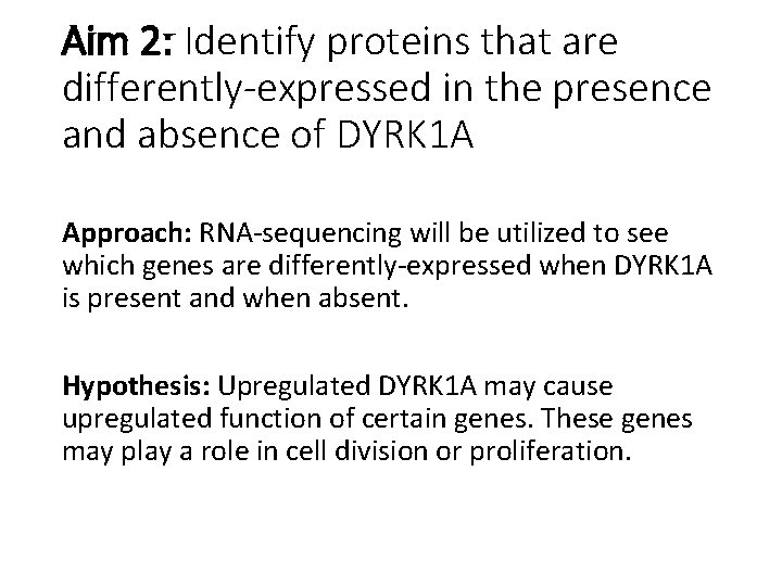 Aim 2: Identify proteins that are differently-expressed in the presence and absence of DYRK