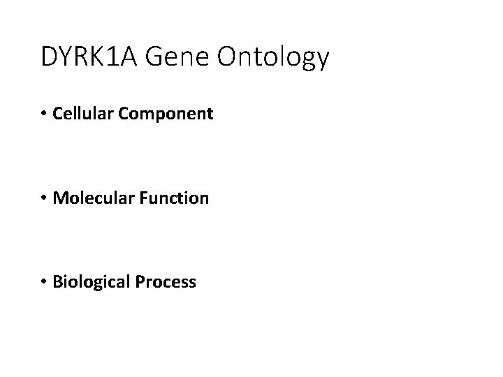DYRK 1 A Gene Ontology • Cellular Component • Molecular Function • Biological Process