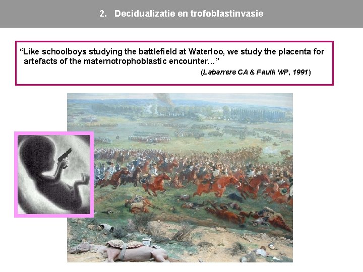 2. Decidualizatie en trofoblastinvasie “Like schoolboys studying the battlefield at Waterloo, we study the