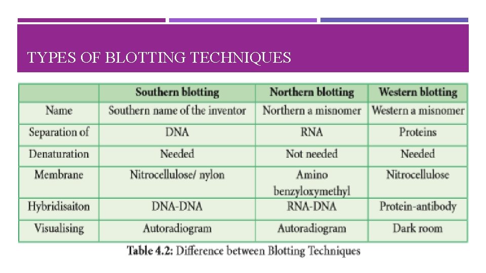 TYPES OF BLOTTING TECHNIQUES 