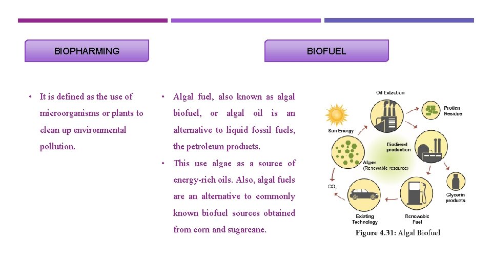 BIOPHARMING • It is defined as the use of BIOFUEL • Algal fuel, also