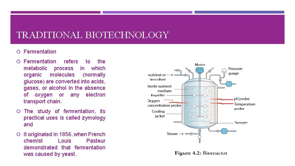 TRADITIONAL BIOTECHNOLOGY Fermentation refers to the metabolic process in which organic molecules (normally glucose)