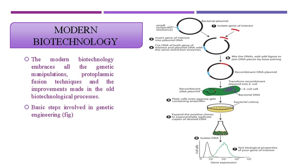 MODERN BIOTECHNOLOGY The modern biotechnology embraces all the genetic manipulations, protoplasmic fusion techniques and