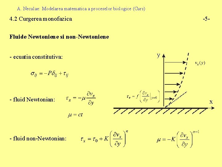 A. Neculae: Modelarea matematica a proceselor biologice (Curs) 4. 2 Curgerea monofazica Fluide Newtoniene