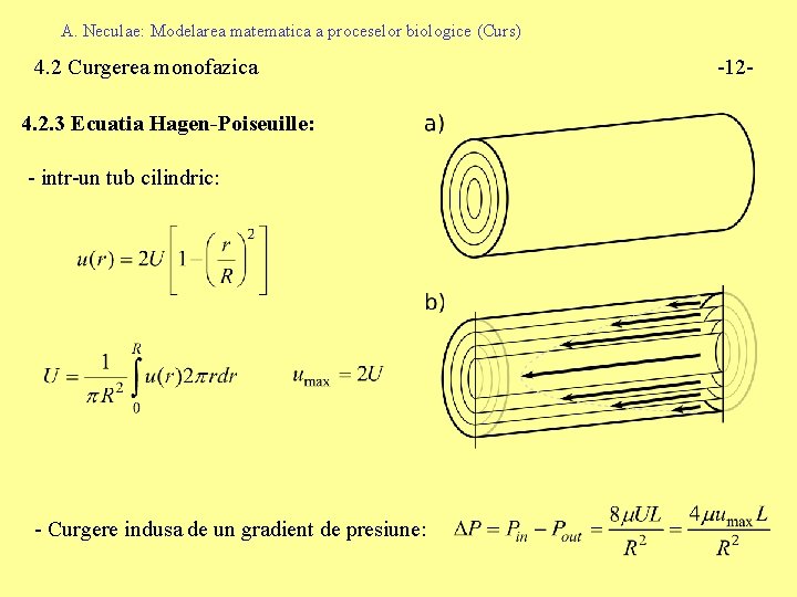 A. Neculae: Modelarea matematica a proceselor biologice (Curs) 4. 2 Curgerea monofazica 4. 2.