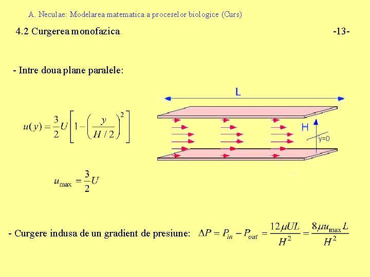 A. Neculae: Modelarea matematica a proceselor biologice (Curs) 4. 2 Curgerea monofazica - Intre