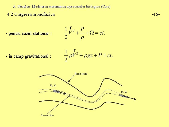A. Neculae: Modelarea matematica a proceselor biologice (Curs) 4. 2 Curgerea monofazica - pentru