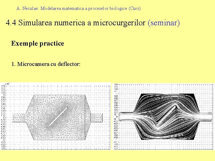 A. Neculae: Modelarea matematica a proceselor biologice (Curs) 4. 4 Simularea numerica a microcurgerilor