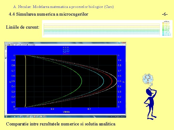 A. Neculae: Modelarea matematica a proceselor biologice (Curs) 4. 4 Simularea numerica a microcugerilor