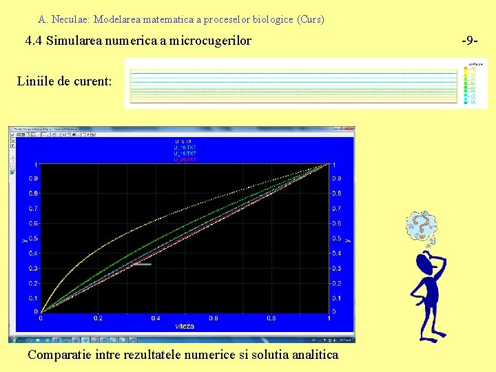 A. Neculae: Modelarea matematica a proceselor biologice (Curs) 4. 4 Simularea numerica a microcugerilor