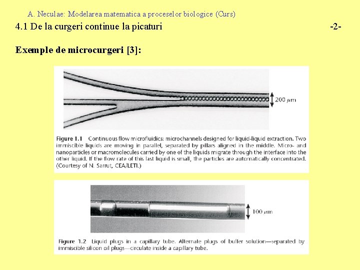 A. Neculae: Modelarea matematica a proceselor biologice (Curs) 4. 1 De la curgeri continue