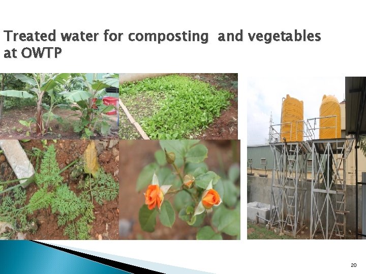 Treated water for composting and vegetables at OWTP 20 