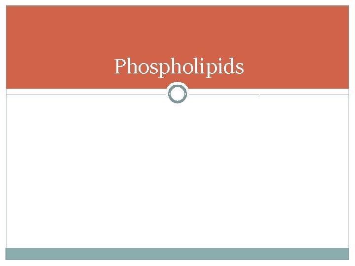 Phospholipids 