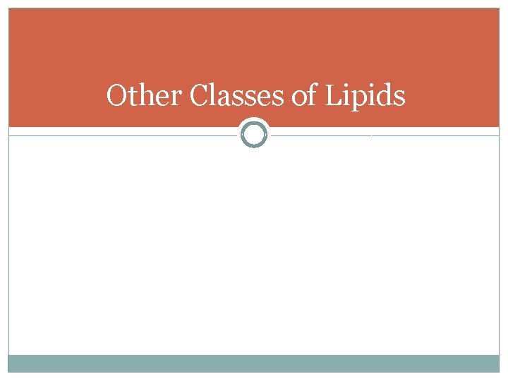 Other Classes of Lipids 