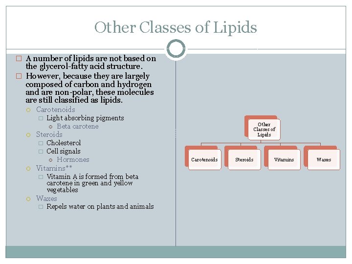 Other Classes of Lipids � A number of lipids are not based on the