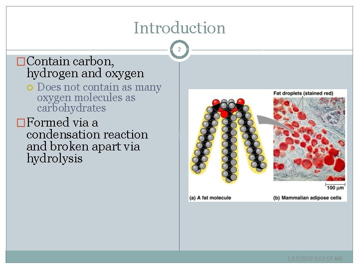 Introduction 2 �Contain carbon, hydrogen and oxygen Does not contain as many oxygen molecules
