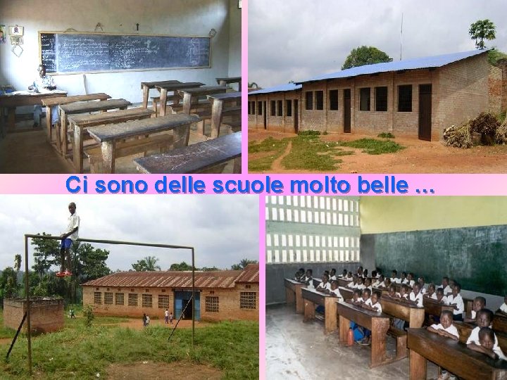 Ci sono delle scuole molto belle … 