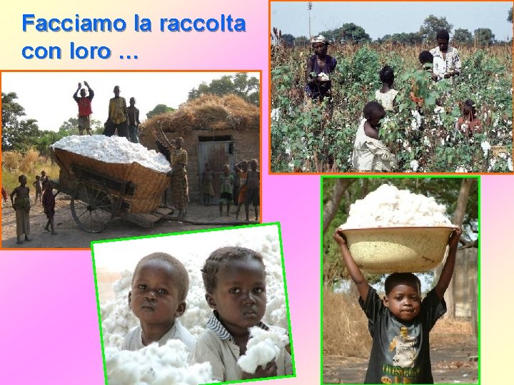 Facciamo la raccolta con loro … 
