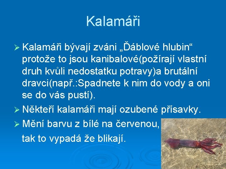 Kalamáři Ø Kalamáři bývají zváni „Ďáblové hlubin“ protože to jsou kanibalové(požírají vlastní druh kvůli