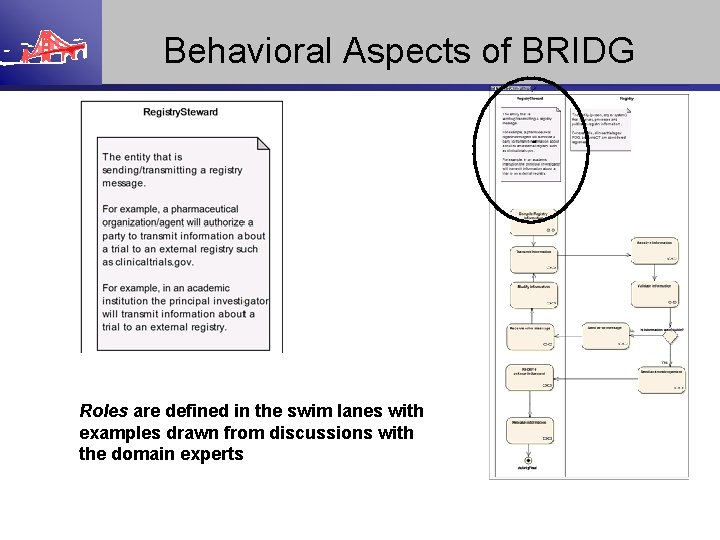 Behavioral Aspects of BRIDG Roles are defined in the swim lanes with examples drawn