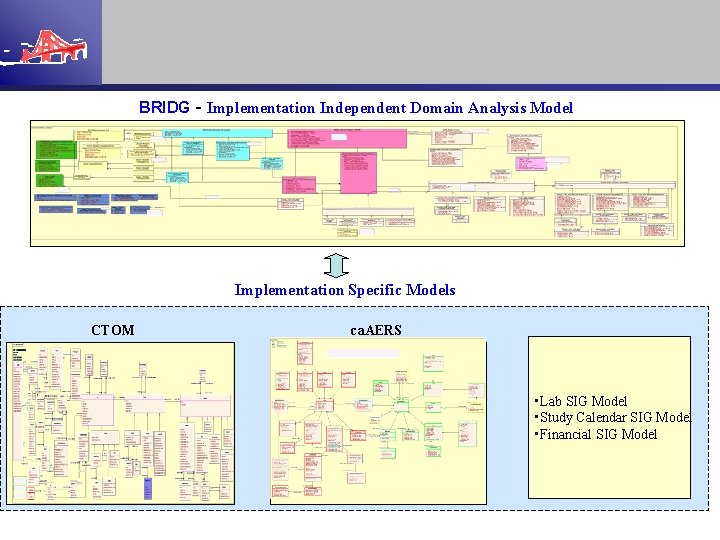 BRIDG - Implementation Independent Domain Analysis Model Implementation Specific Models CTOM ca. AERS •