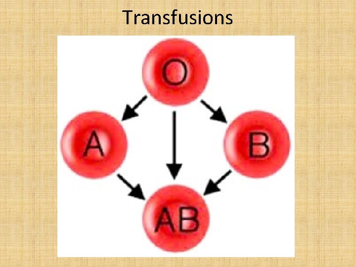 Transfusions 