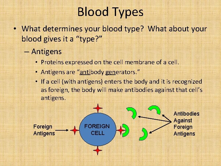 Blood Types • What determines your blood type? What about your blood gives it