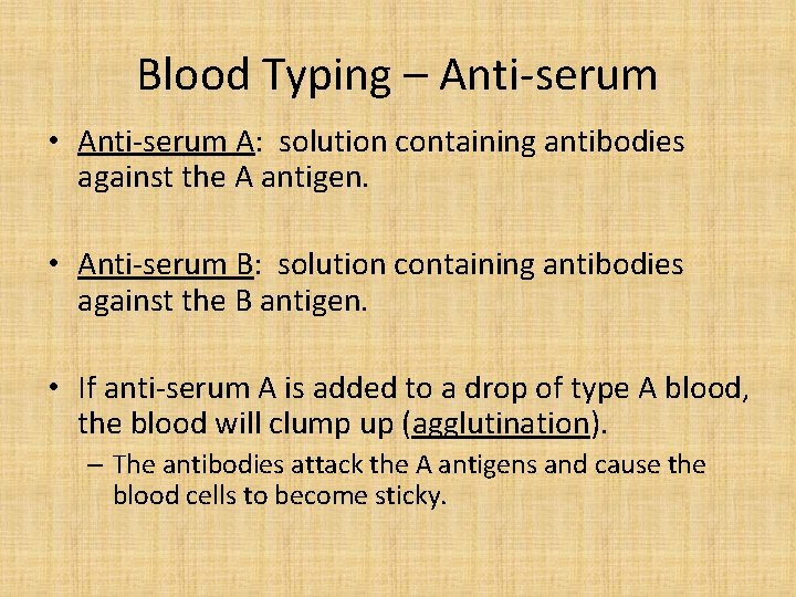 Blood Typing – Anti-serum • Anti-serum A: solution containing antibodies against the A antigen.