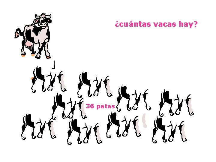 ¿cuántas vacas hay? 36 patas 