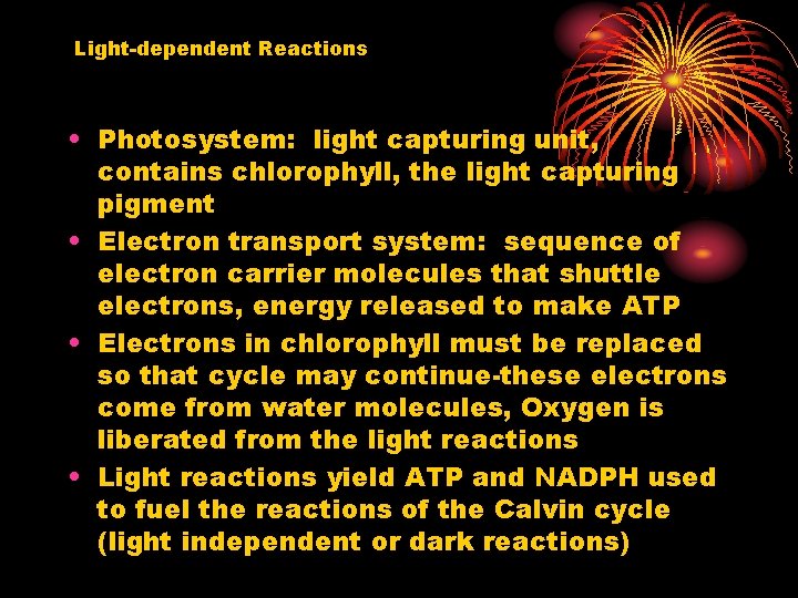 Light-dependent Reactions • Photosystem: light capturing unit, contains chlorophyll, the light capturing pigment •