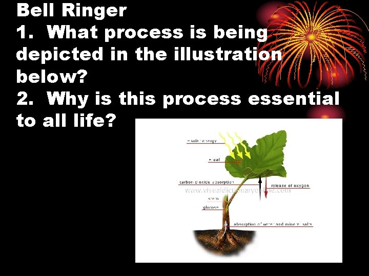 Bell Ringer 1. What process is being depicted in the illustration below? 2. Why