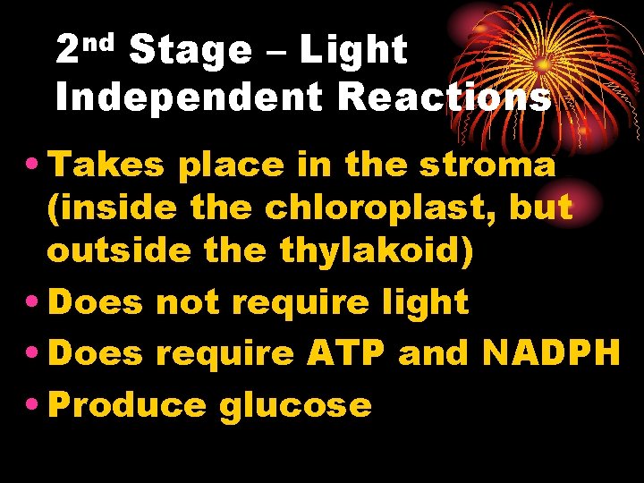 2 nd Stage – Light Independent Reactions • Takes place in the stroma (inside