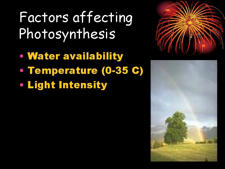 Factors affecting Photosynthesis • Water availability • Temperature (0 -35 C) • Light Intensity